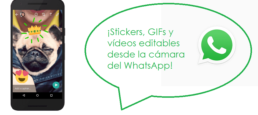 novedades-de-whatsapp-videos-editables