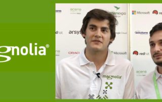 CMS Magnolia - Entrevista | MarTech Forum