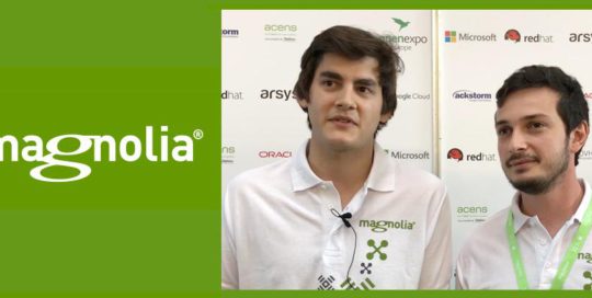 CMS Magnolia - Entrevista | MarTech Forum